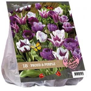 Baltus Urban Flowers Proud and Purple bloembollen per 18 stuks
